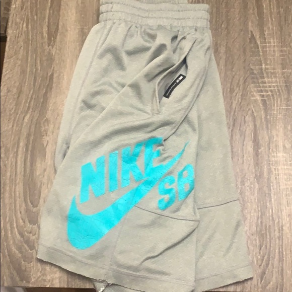 Nike Other - NIKE SB Shorts